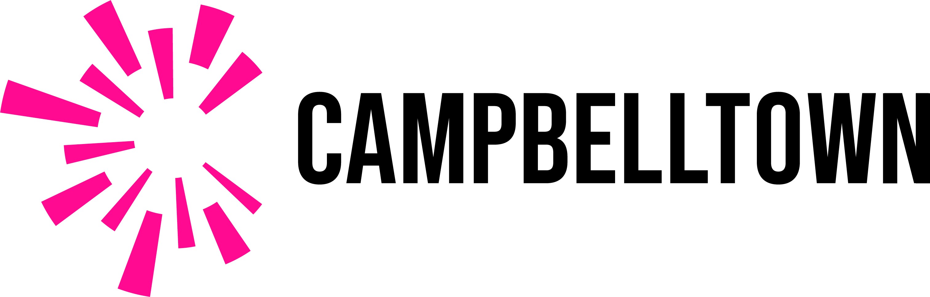 Campbelltown City Council, NSW logo